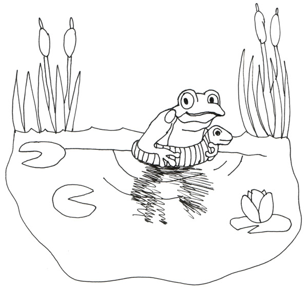 New Swimmer Froggy